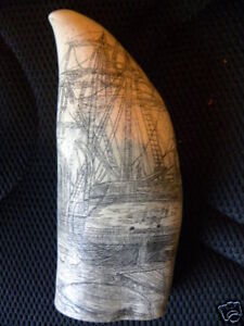  Charles W Morgan Historic Sperm Whale Tooth Scrimshaw Reproduction