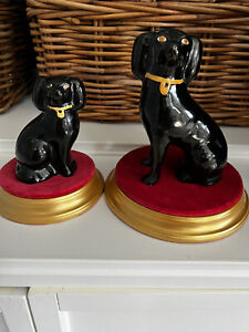 Staffordshire Kent Black Spaniel Dog Pair 4 5 And 6 Porcelain Jackfield Style