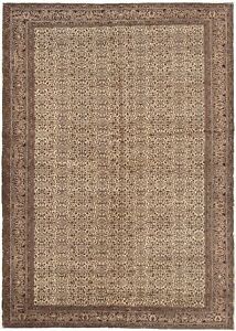 Vintage Hand Knotted Area Rug 6 8 X 9 9 Traditional Wool Carpet