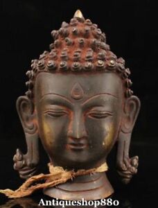 Tibet Buddhism Bronze Gilt Shakyamuni Sakyamuni Amitabha Buddha Head Bust Statue