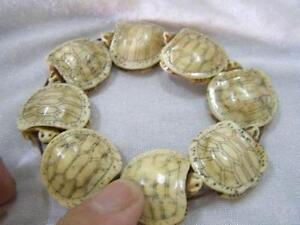Charming Japanese Hand Carved Bracelet Bangel Lovely Tortoise Figure