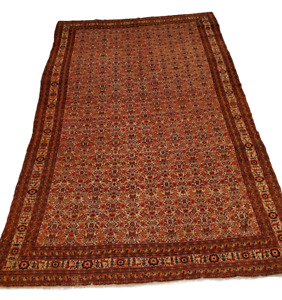 Extremely Rare And High Quality Seneh Rug 4 10 X 7 7 
