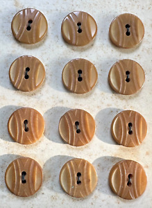 24 Antique Tan Carved Vegetable Ivory Buttons On Card 5 8 