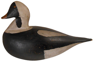 Rare Old Squaw Early 20th C Antique Hnd Crvd Pntd Long Tailed Sprtng Duck Decoy