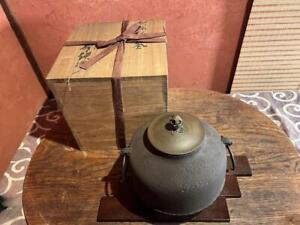 Chagama Amidadou Gama Keitetsu Matsuyama Japanese Iron Tea Kettle Teapot J6249
