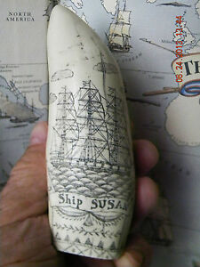 Scrimshaw Sperm Whale Tooth Resin Reproduction Susan 6 Inches Long