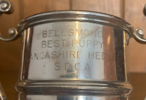 Lancashire Heeler Dog Vintage Silver Plate Trophy Loving Cup Trophies