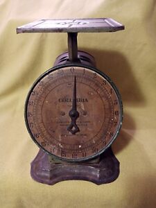 Antique Food Scale Appears To Be In Working Order