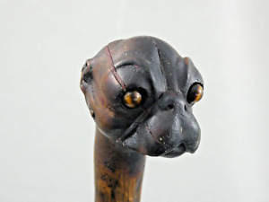 Wonderful Antique Walking Cane Stick Hand Carved Bulldog Head Dog Burl Wood 19c
