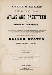 1870 New York State Atlas Map Old Genealogy Treasure Hunting Dvd S10