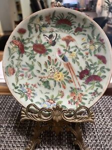Antique 19th C Chinese Export Porcelain Celadon Plate Bird Butterfly Peony