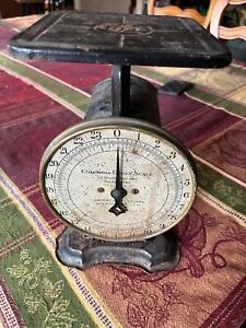 Vintage Columbia Family Scale 24 Lbs Landers Frary Clark
