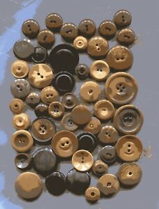 Lot Of 70 Vegetable Ivory Vintage Buttons Some Whistles