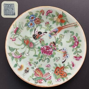 Chinese Antique Celadon Canton Butterfly And Bird Plate 19th C 1708