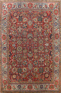 Pre 1900 Vegetable Dye Sultanabad Antique Rug 10x13 Wool Hand Knotted Carpet
