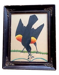 Primitive Watercolor Of Redwing Blackbird With Flower Twig