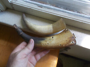 1700s Or Early 1800 Powder Horn With Original Wood Top Another Small Horn