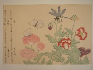 Kitagawa Utamaro Woodblock Print Insect Masterpieces Butterfly And Dragonfly