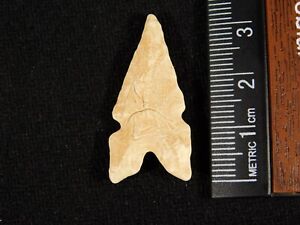 Nice Ancient Triple Notch Tidikelt Arrowhead Algeria 7 70