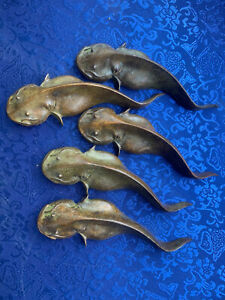 5 Pcs Chinese Bronze Hand Made Catfish Paper Weights