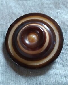 Antique Carved Vegetable Ivory Button 