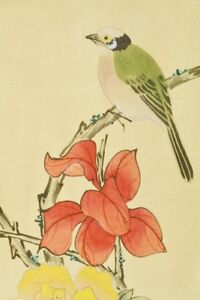 Chinese Painting Hanging Scroll China 53 1 Picture Bird Flower From Japan C374