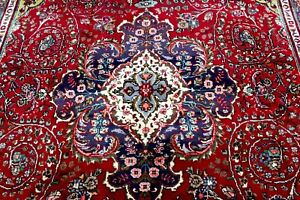 9x12 1960 S Magnificent Fine Hand Knotted Vegetable Dye Tree Of Life Tabrizz Rug