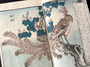 Shigenobu Birds Flowers Full Color Woodblock Print Picture Book Hokusai S Son