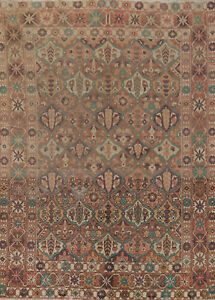 Vintage Garden Design Bakhtiari Traditional Area Rug Handmade Wool Carpet 6x9