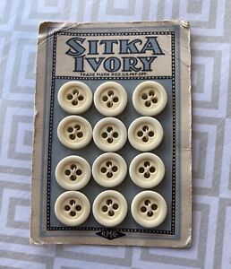 Civil War Era Bone Buttons On Original Card