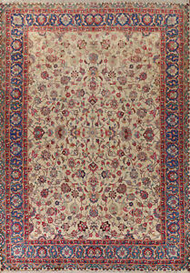 Ivory Wool Handmade Floral Signed Kashmar Living Room Rug Area Carpet 10x13