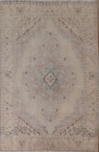 Distressed 7x9 Traditional Vintage Area Rug Handmade Wool Living Room Carpet