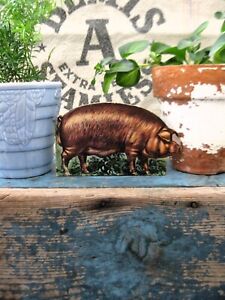 Antique Schoolhouse Cardboard Farm Animal Duroc Jersey Pig