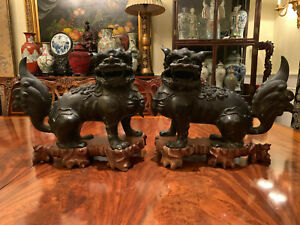 A Pair Large And Rare Chinese Ming Dynasty Bronze Foolions With Rosewood Stands 