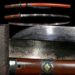 Japanese Sword Katana Real Sword Wakizashi Koshirae 15 11 Inch Antique 
