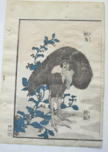 Antique Japanese Ostrich Bird And Pepper Plant Woodblock Book Print By Dacho