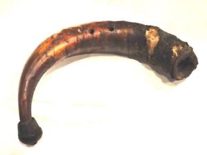 Antique Early Powder Horn W Metal Cap 2 Holes Drilled In Side Charred Folk Art