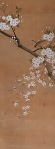 U1138 Japanese Vintage Hanging Scroll Kakejiku Hand Paint Paper Flower Bird