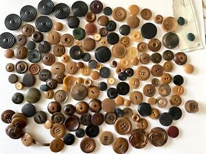 Large Selection Of Antique Vegetable Ivory Buttons