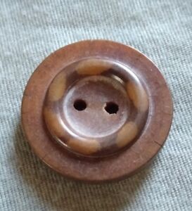 Antique Vegetable Ivory Button 